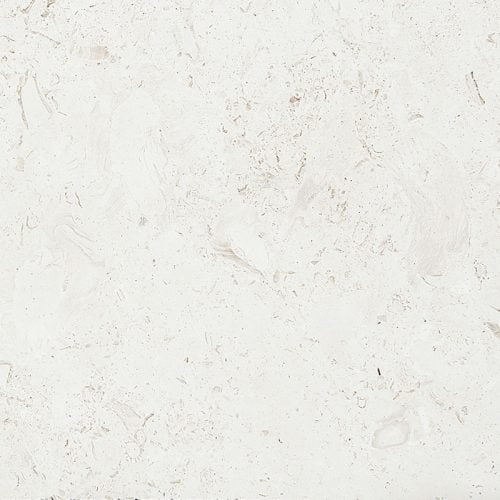 Mediterranean Seashell Honed 18x18