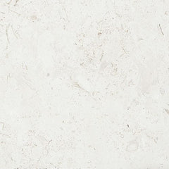 Mediterranean Seashell Honed 18x18