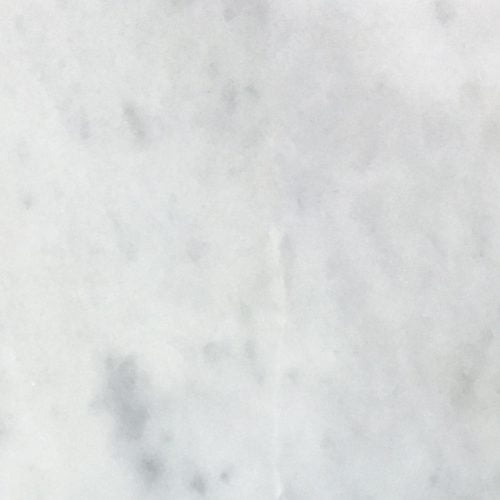 White Carrara Honed 24x24